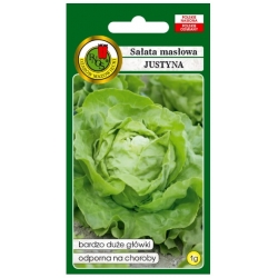 nasiona Sałata masłowa Justyna pnos377